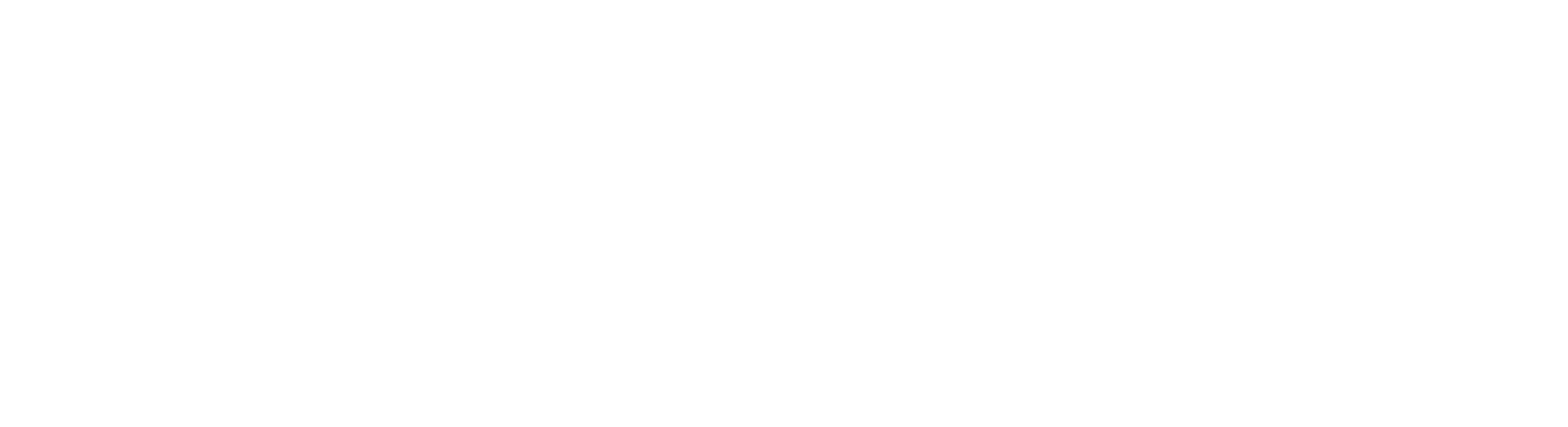 Banco SEMEAR — 20 Anos